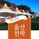대원천막