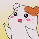 자유시간 이미지