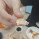 정치망오창