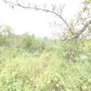 구암동213 이미지