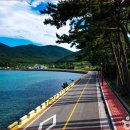 강원도, 제주도 아니에요" 국내 최고 해안 드라이브로 추천하는 숨은 절경 명소 이미지