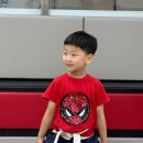 TK태권도장 이미지