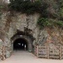 부산 강서구 가볼만한곳 가덕도 인공동굴 새바지항 천성항 트래킹 이미지