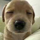 영등동-63 | 한겨울이에요