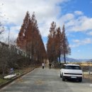 호계로 291번길 이미지