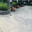 봉구네 후다닭강정