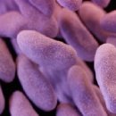 모와슈퍼 이미지