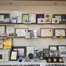 평택보청기 독일보청기 | 시그니아독일보청기 평택센터, 경기도 보청기의 숨겨진 이점