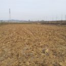 덕산면041 이미지