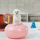 경주동물병원 이미지