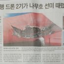 이란,HMM우리 선박 때렸다,말못하는 우리나라 님들... 이미지