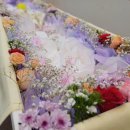 뉴대성병원 이미지