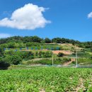 죽림여천농협(앞) 이미지