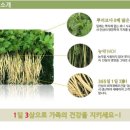 제이팜법인