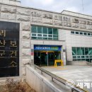 이내과 세계뉴스통신