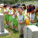 비목 Daum카페