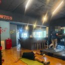 FIT360° | 핏360 방문 후기: 홍대PT·연남동PT 맞춤 수업으로 동기 부여 뿜뿜!