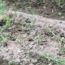 가사농장 이미지