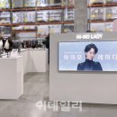 하이모레이디