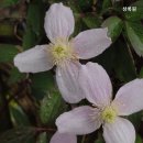 상록원 - 서초구 신반포로 177 | 상록원