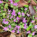 비목쉼터 이미지