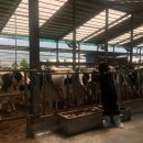 달무리농장 이미지