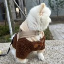 멍바라기 이미지