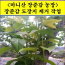 장준농장 이미지