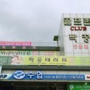 짝꿍테라피