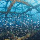 선정목장 이미지