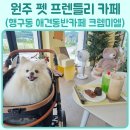 크렘미엘 이미지