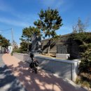 세파에 따르지 이미지