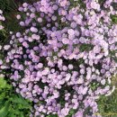 부원농장 이미지