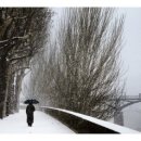 성읍(단일로) 이미지