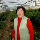 평동농장 이미지