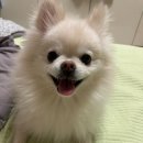 백슬동물병원 이미지