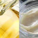 백년사슴 이미지