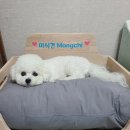 제스퍼우드공방