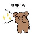 일등카써비스 이미지