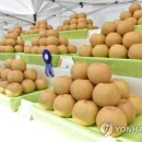 원주원예농협하나로클럽 이미지