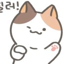 쿠잉루찌 네이버블로그