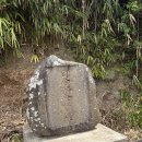 강서구관광안내소 | 부산 가덕도 유럽 수국 명소 외양포 야생화단지 다녀왔어요! (8/8 후기)