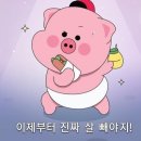 후라이드참잘하는집사우 | 3월 일기 (feat. 홈프로텍터)