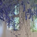 아미미술관 | 🎨 당진 아미미술관 후기｜감성 충만한 폐교 미술관에서 힐링한 하루🌿