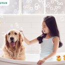 펫택시 타시개 이미지