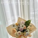 모던플로라