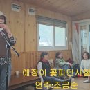 애정이 꽃피던시절 연주조금순 이미지