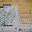 쌍생수 이미지