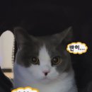남원한증원