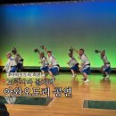 한마루관(학생회관) | 도쿠시마 아와오도리 회관 공연·비잔 케이블카 후기｜입장료·시간 총정리